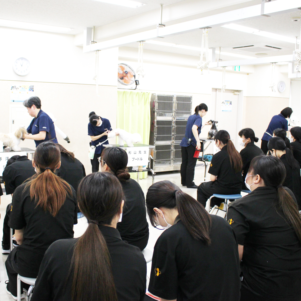 ２年生へ向けて先生の試技会～午前の部～